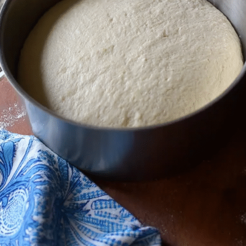 Homemade Pizza Dough 1 1