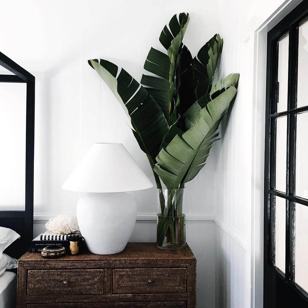 Bring Tropical Drama with Oversized Bird of Paradise Leaves