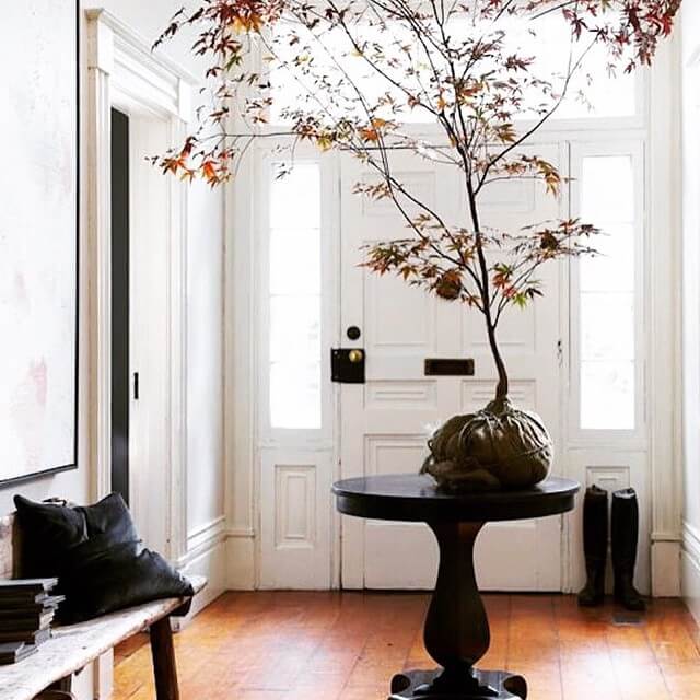 Dark Pedestal Table Anchored by a Sculptural Japanese Maple