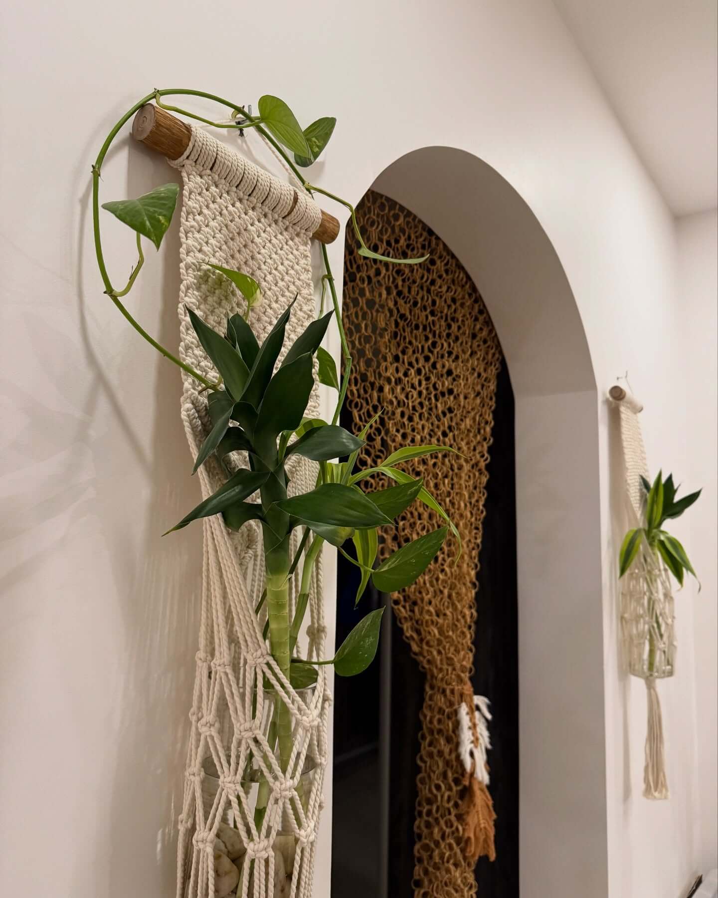Macrame Hangers That Hold Glass Vases for Single Stems