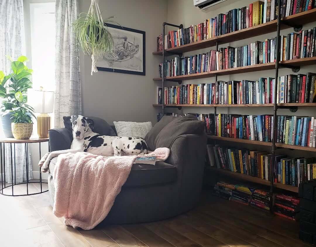 House a Vast Collection on Industrial Pipe Shelving