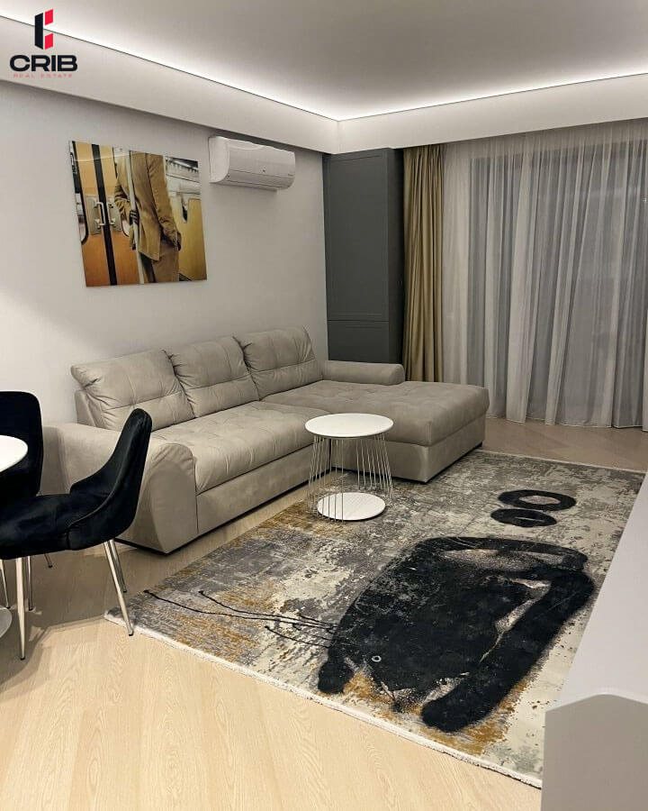 Abstract Cat Rug Anchors the Living Area