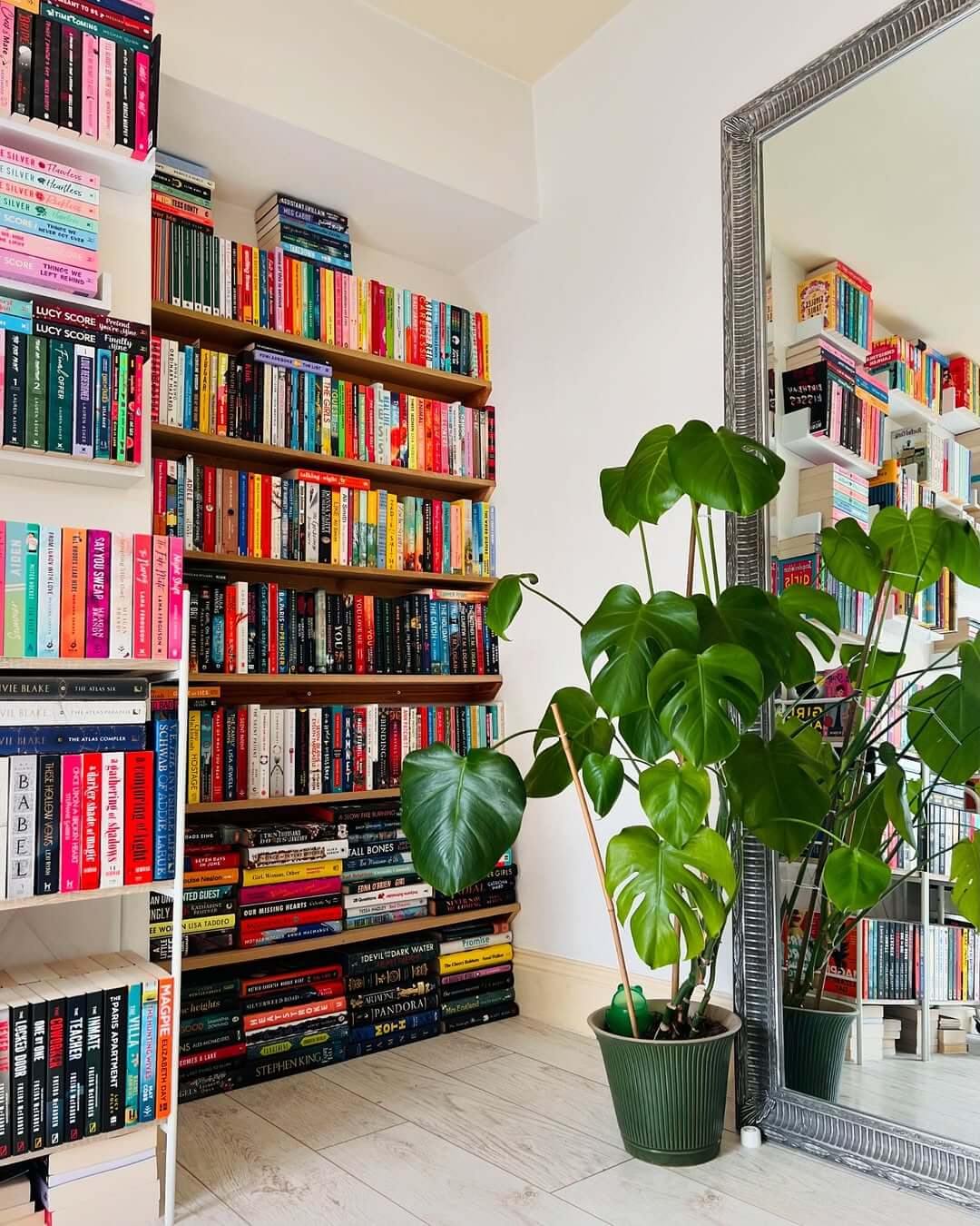 Monstera Plant Framing a Tall Bookshelf