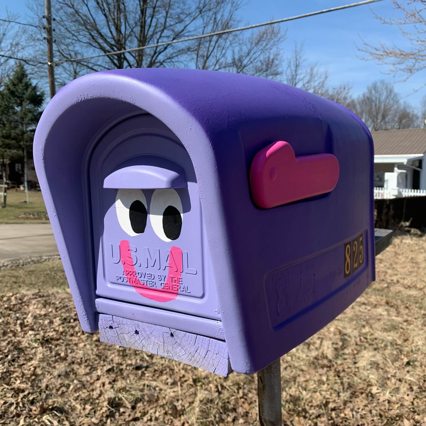 Mailbox with Googly Eyes and Pink Smile for a Playful Face