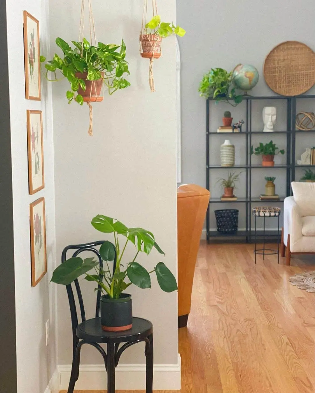 Incorporate Vertical Greenery with Hanging Macrame Planters
