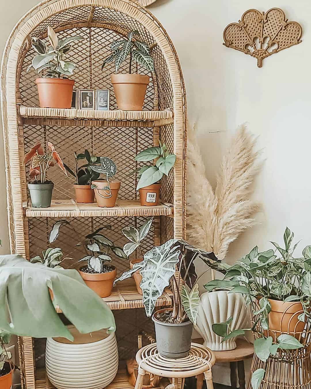 Showcase Plants on a Woven Arch Shelf