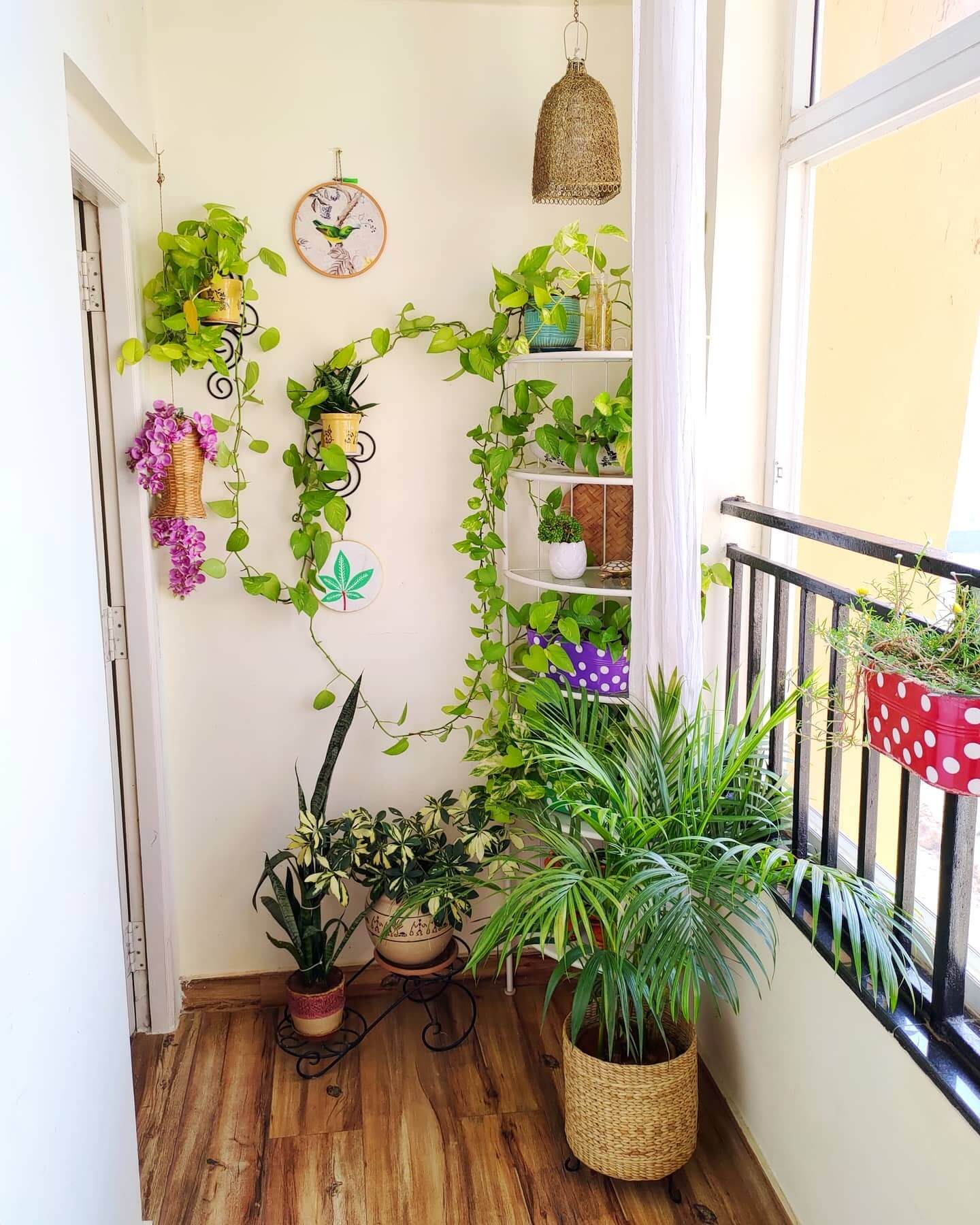 Wall-mounted plant holders create a vertical garden