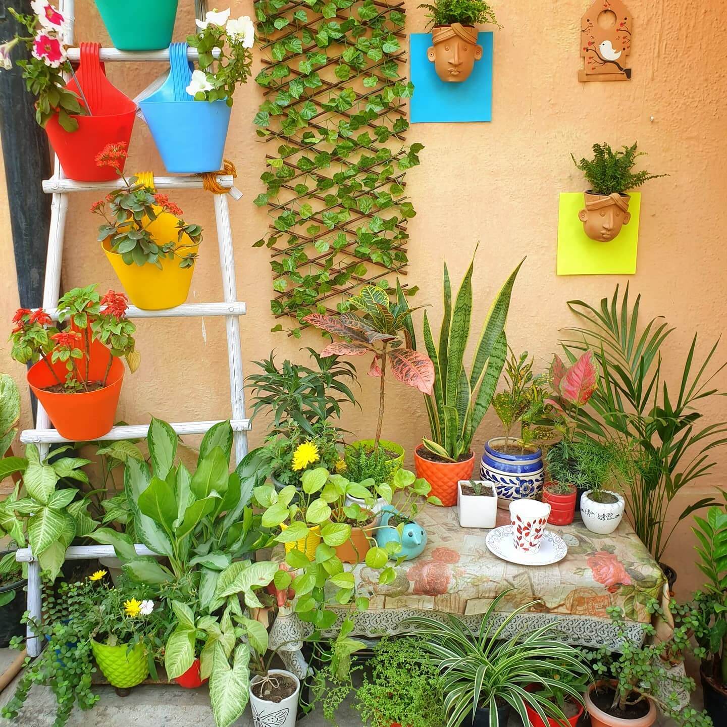 Face planters add whimsical personality to a garden wall
