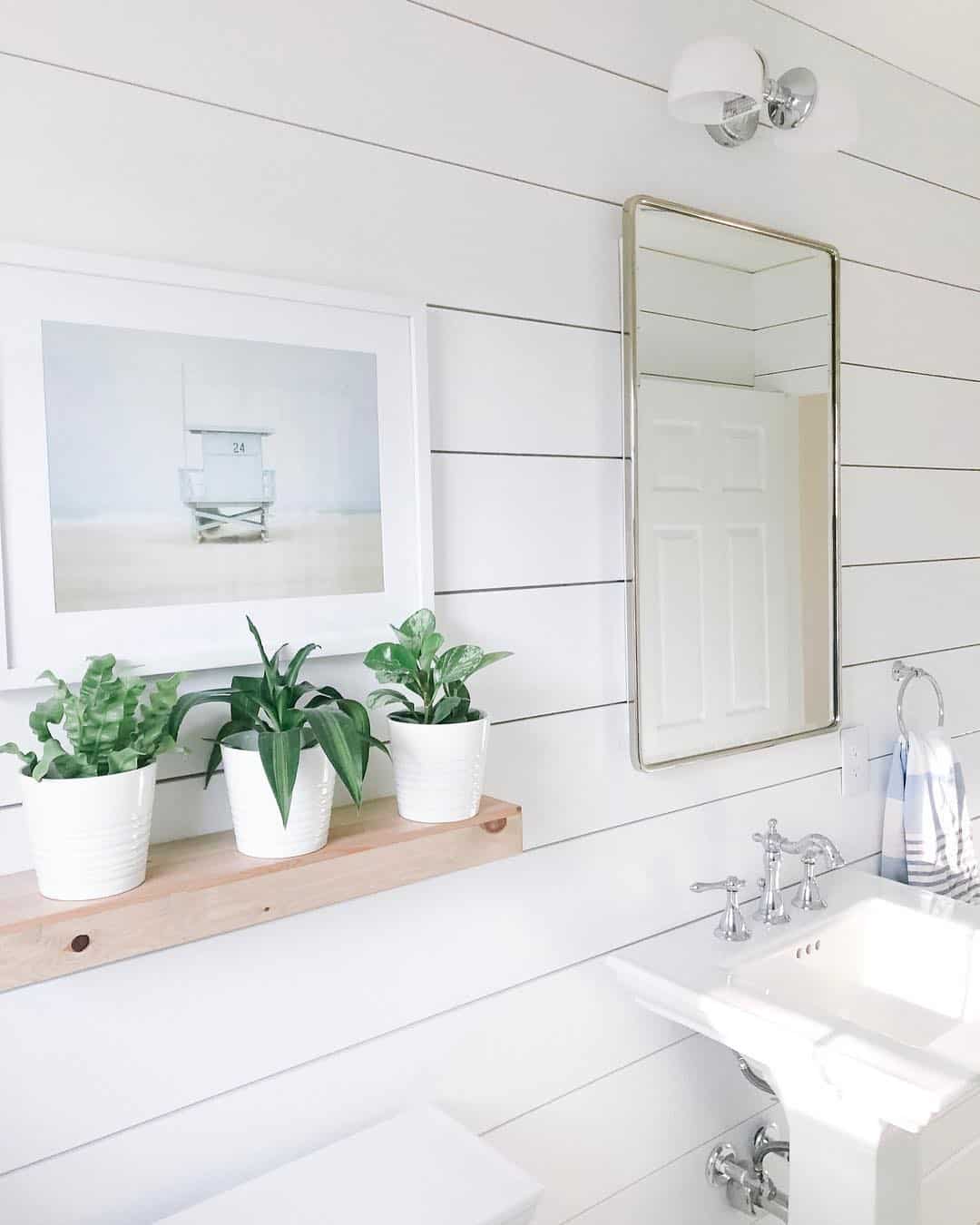 Simple Wood Shelf Holds Trio of White Potted Plants