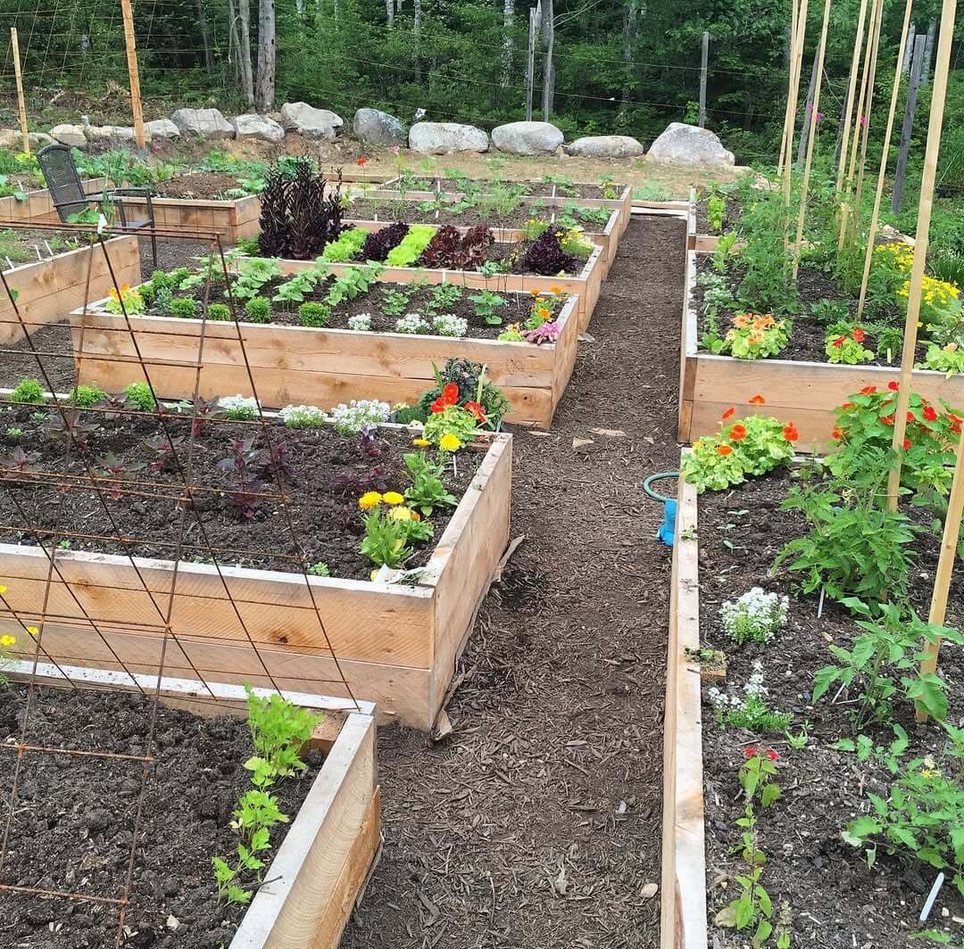 Integrate Vertical Growing Space with Wire Trellises
