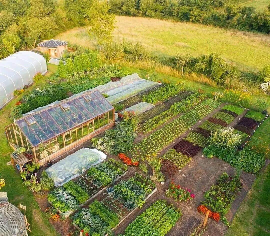 Streamline Vegetable Rows with Low-Profile Raised Beds