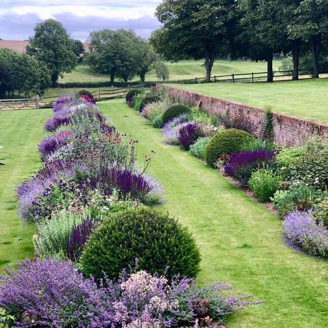 Layered Planting Creates Depth Along Garden Paths