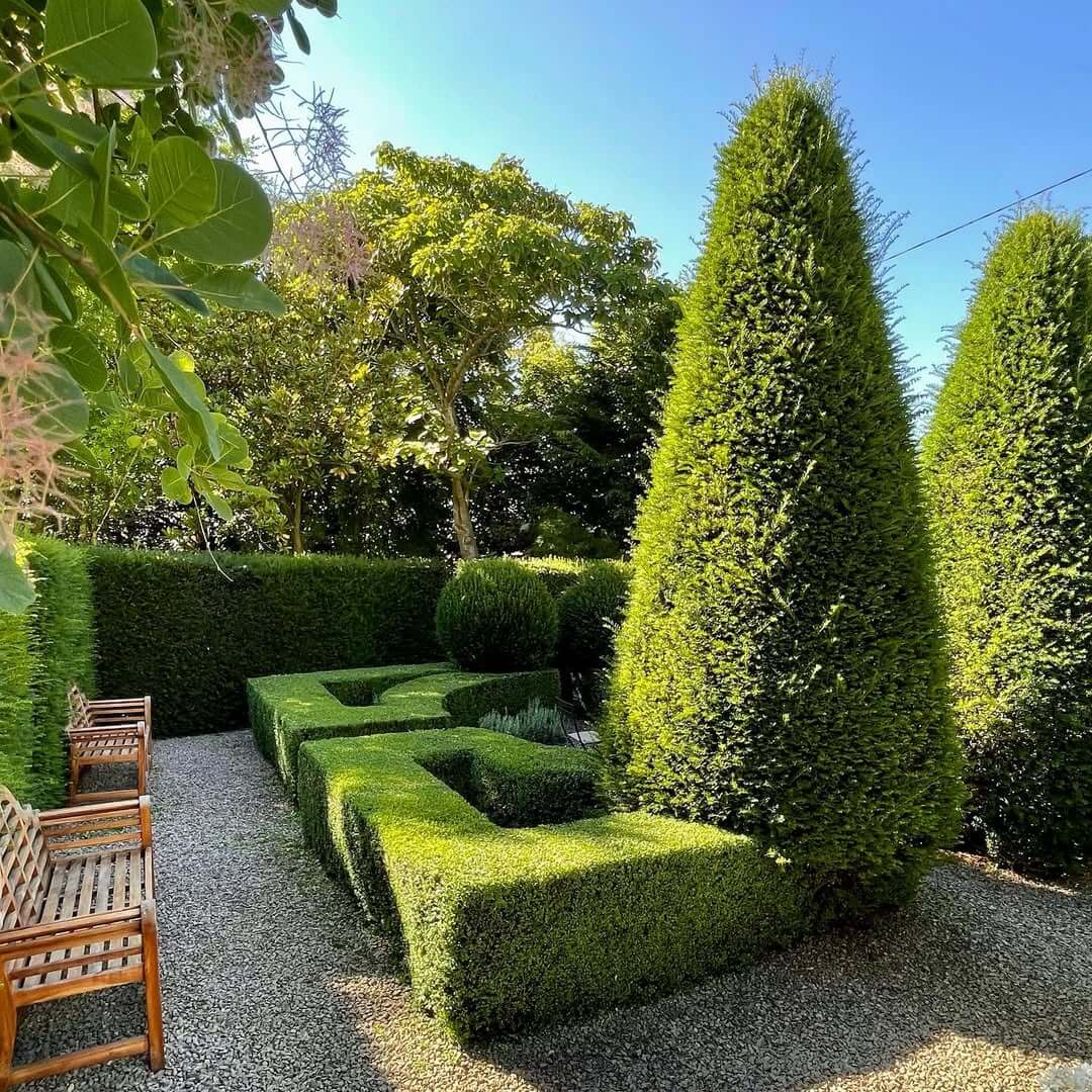 Define Pathways with Sculpted Boxwood Hedges