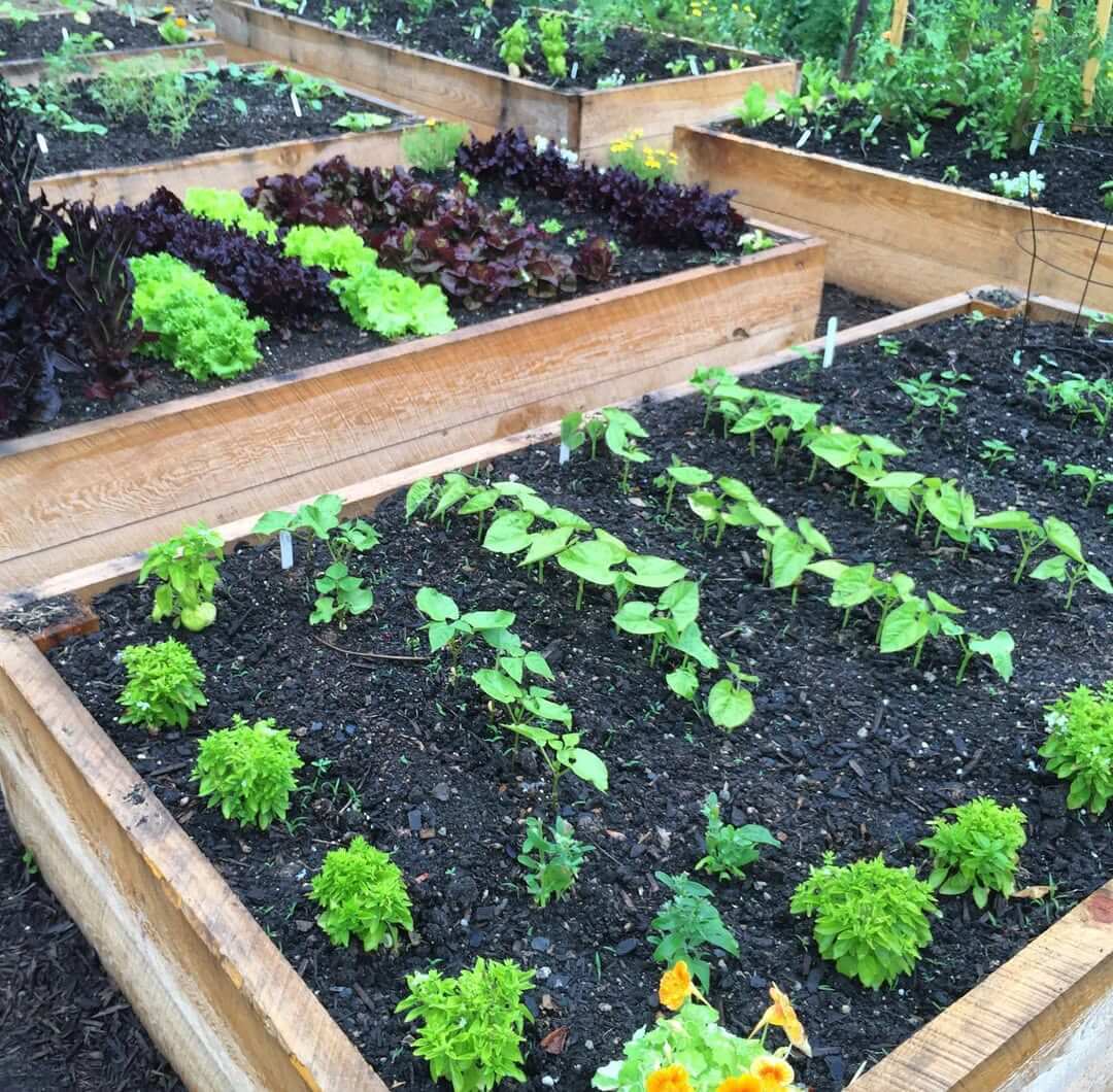 Layered Raised Beds Create Visual Depth