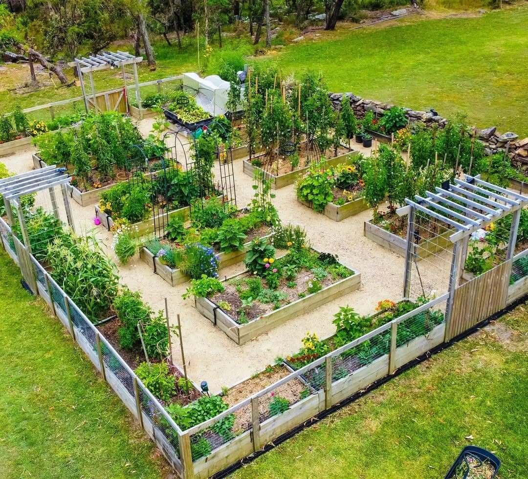 Pergola Frames Create Distinct Garden Zones and Pathways