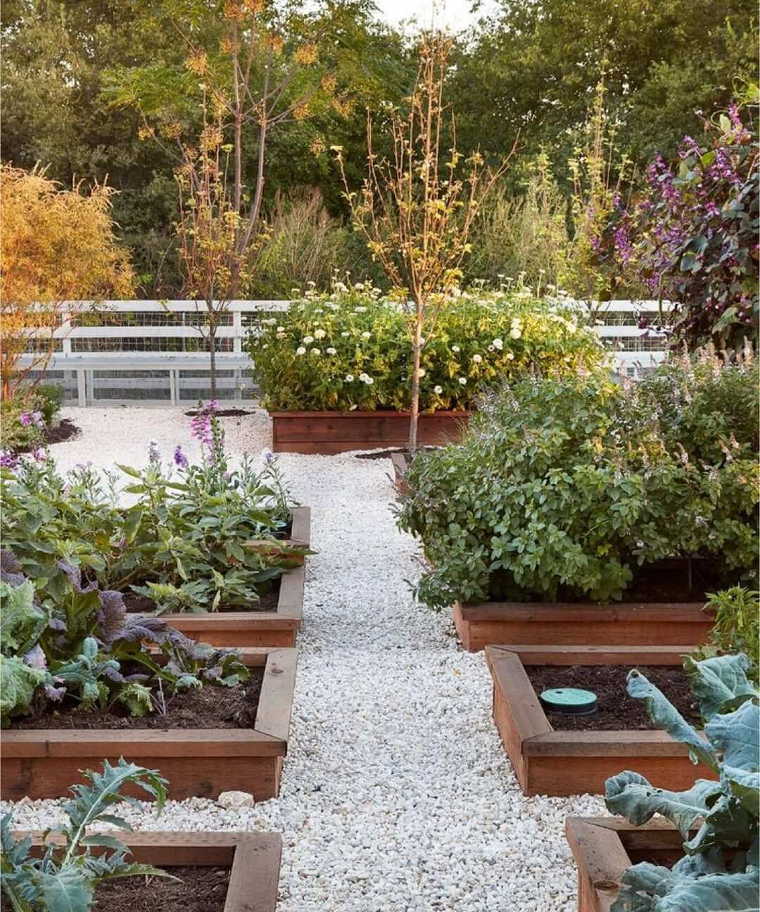 Structure Planting Areas with Parallel Wooden Raised Beds