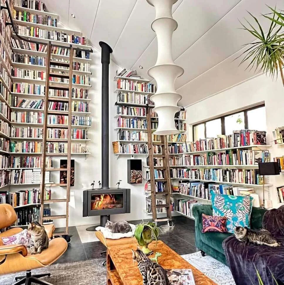 Tall library ladders for reaching every book