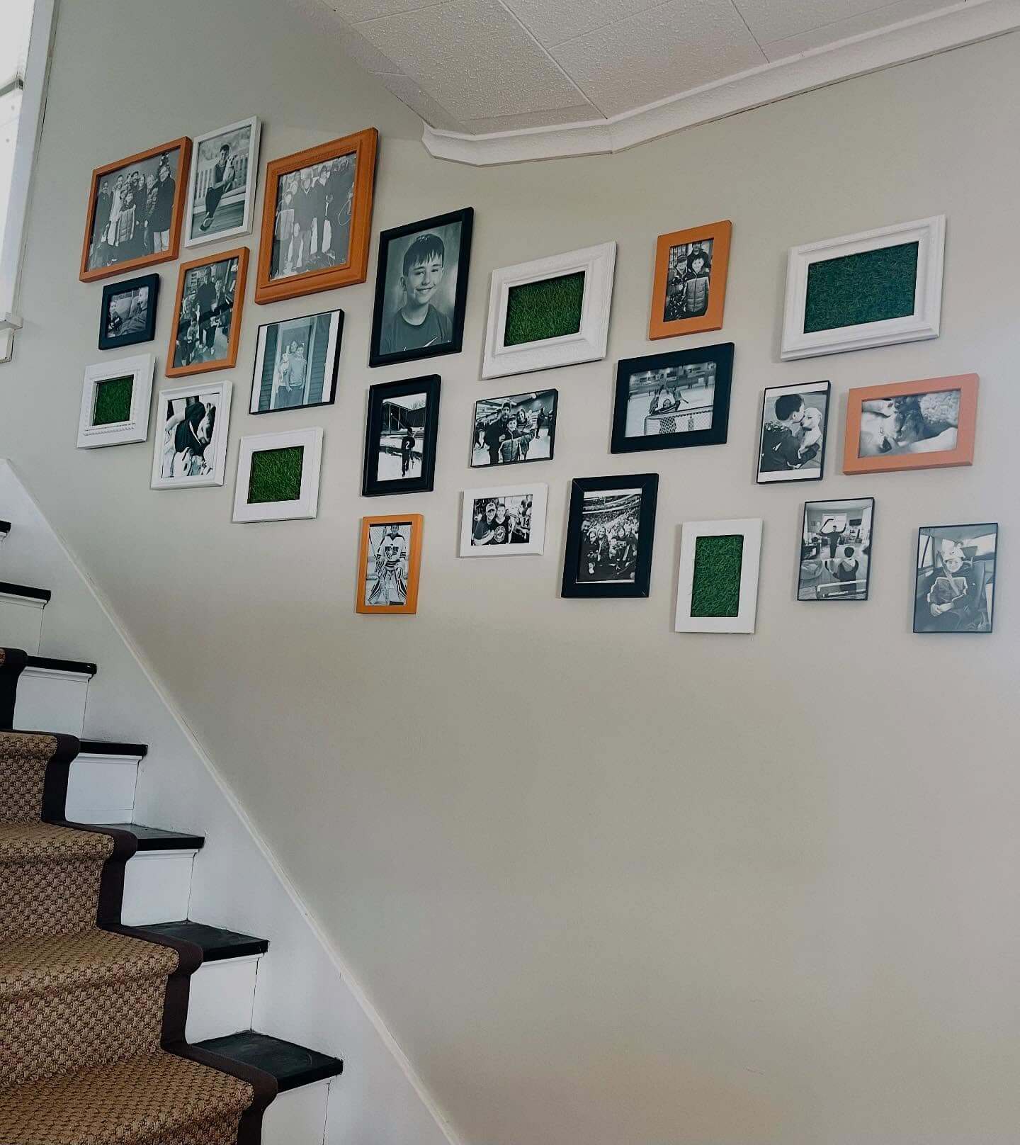 Photo Frames With Green Moss Inserts Add Natural Texture