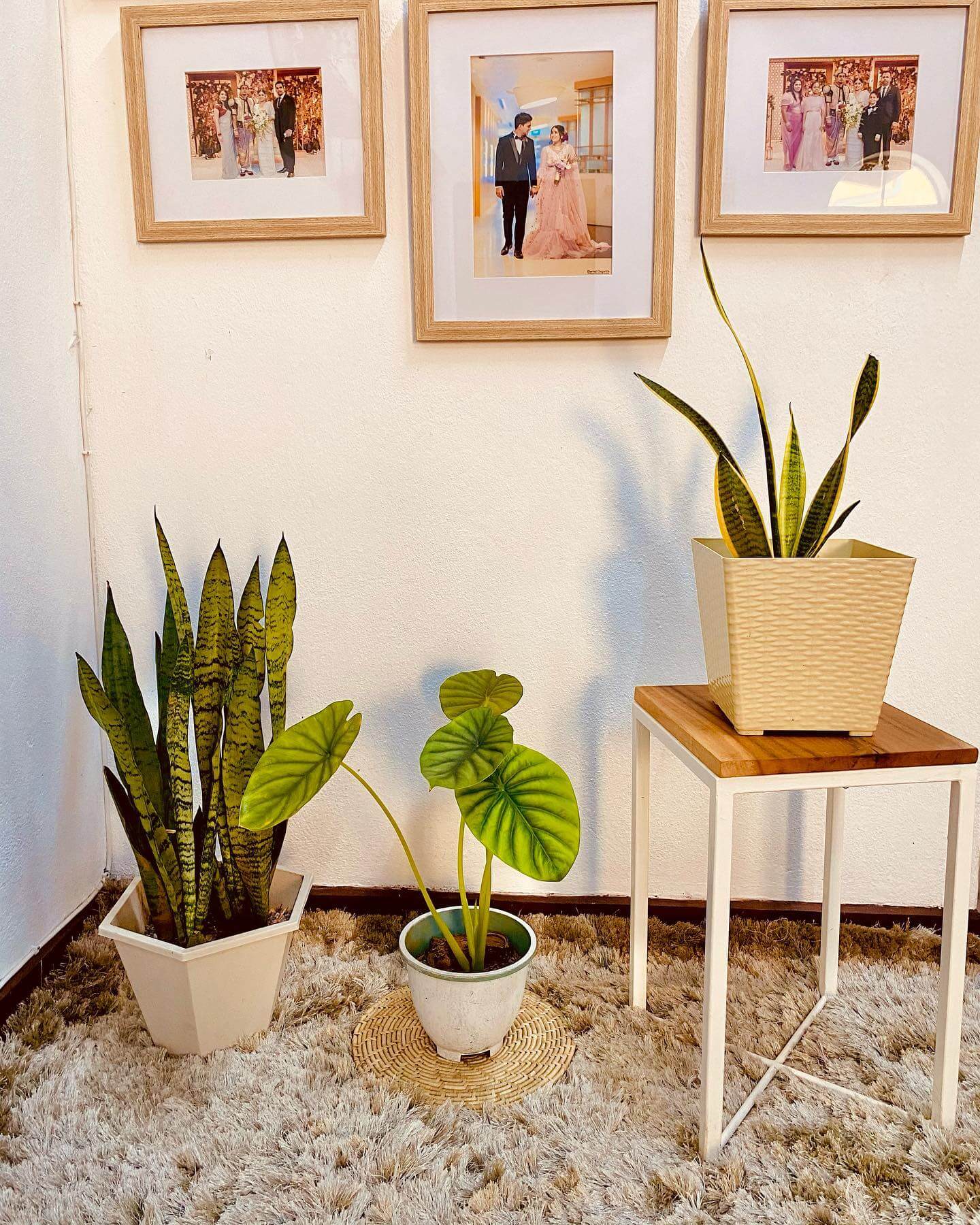 Warm Up Your Walls with Natural Wood Frames for Wedding Portraits