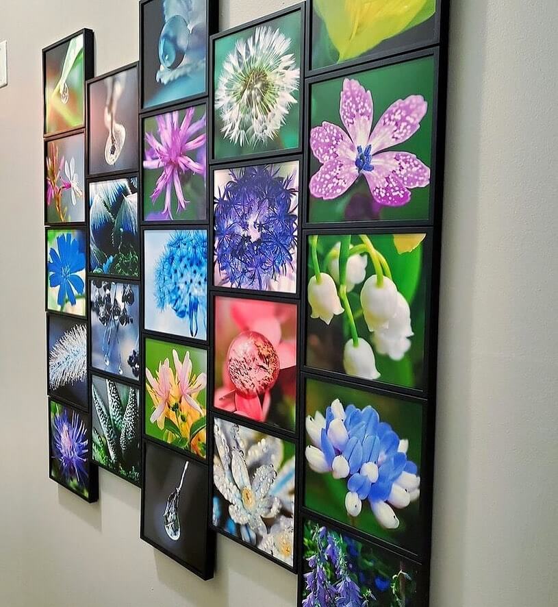 Macro Flower Photography Creates an Intimate Nature Gallery