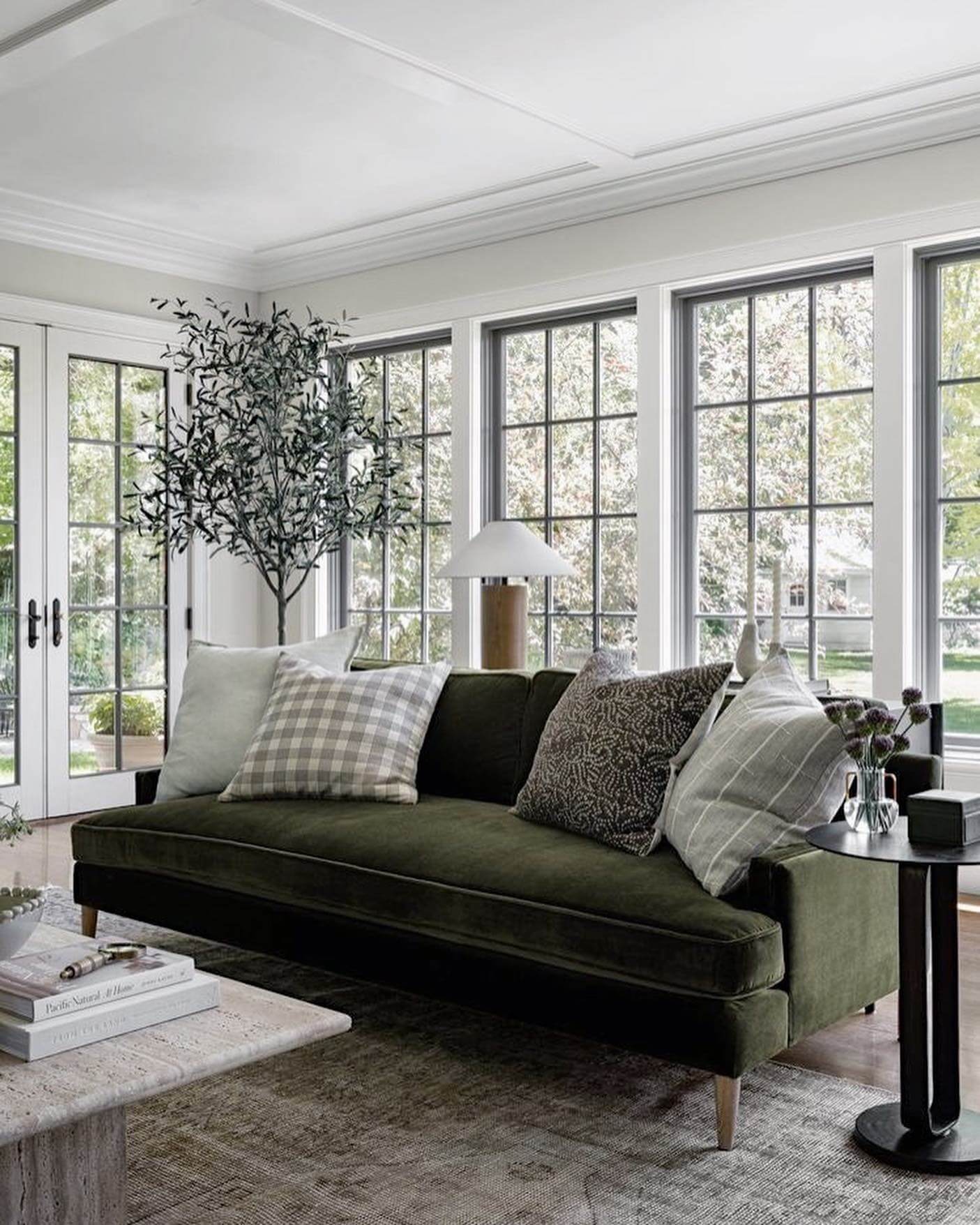 Introduce natural height with a large potted tree
