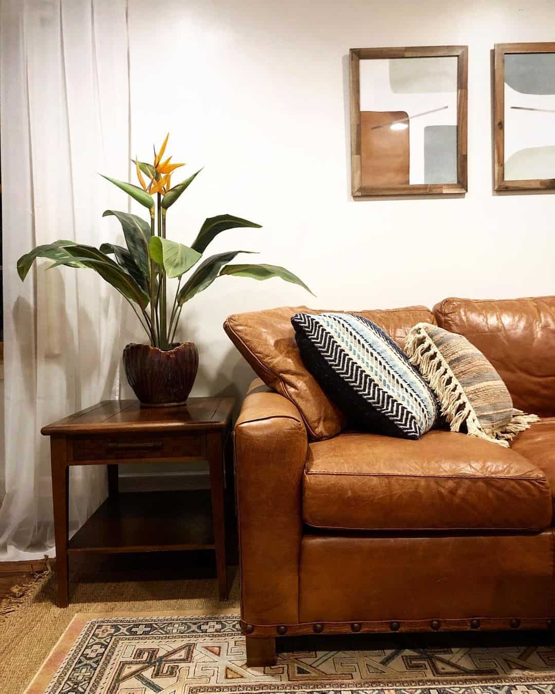 Bring the Outdoors In With a Tall Bird of Paradise