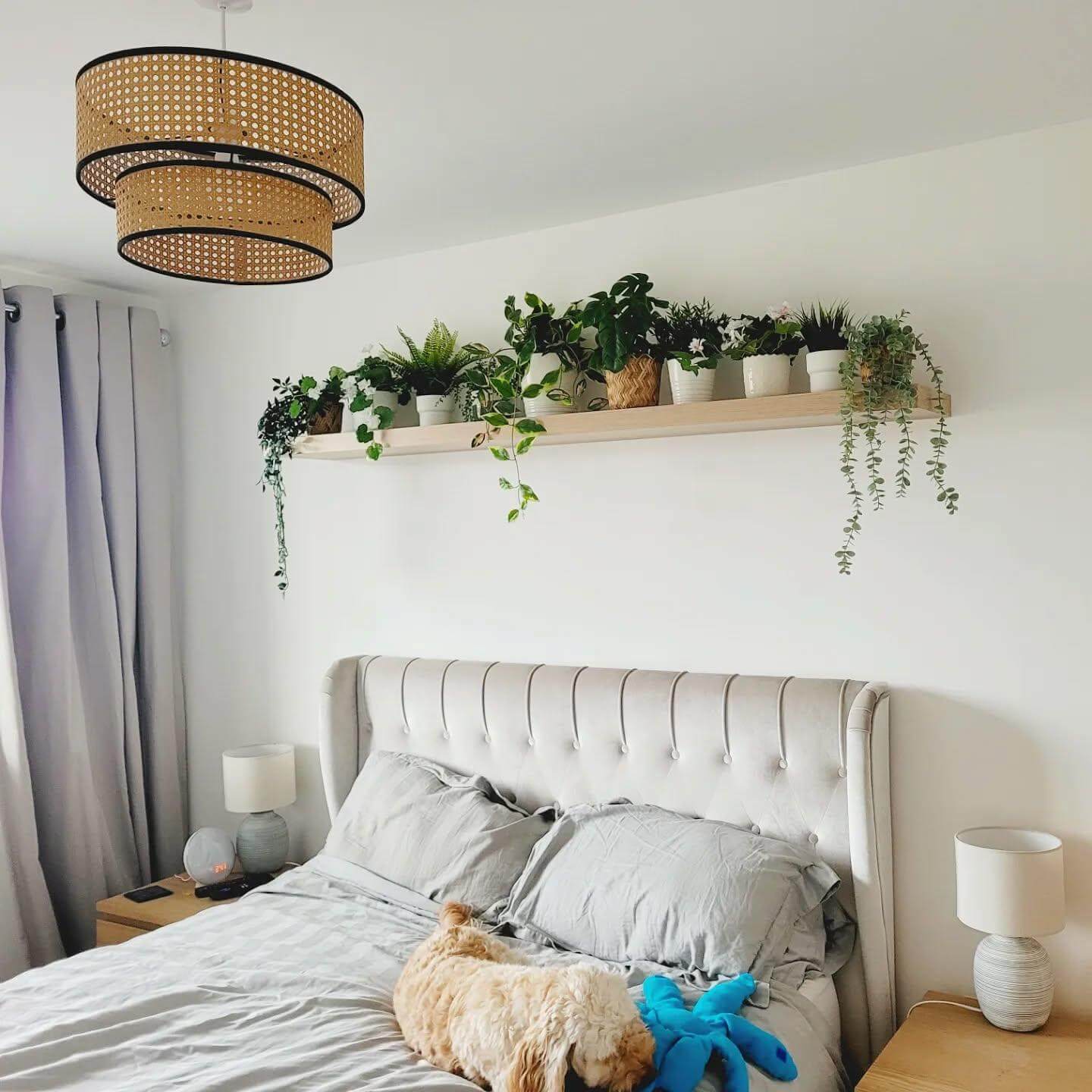 Wide Wooden Shelf Creates a Lush Greenery Display Above Bed