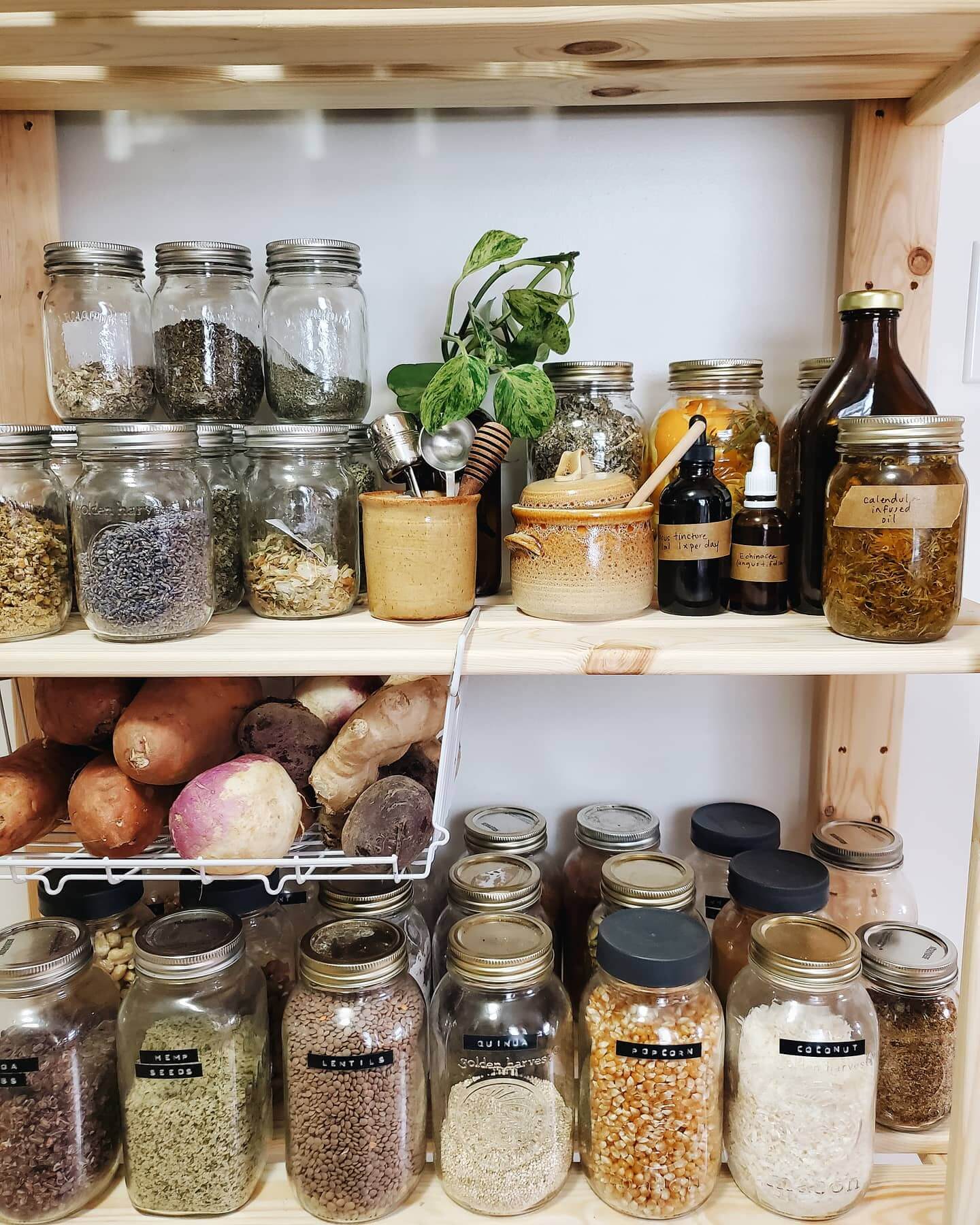 Glass Jars With Kraft Labels for Storing Dried Herbs and Tinctures