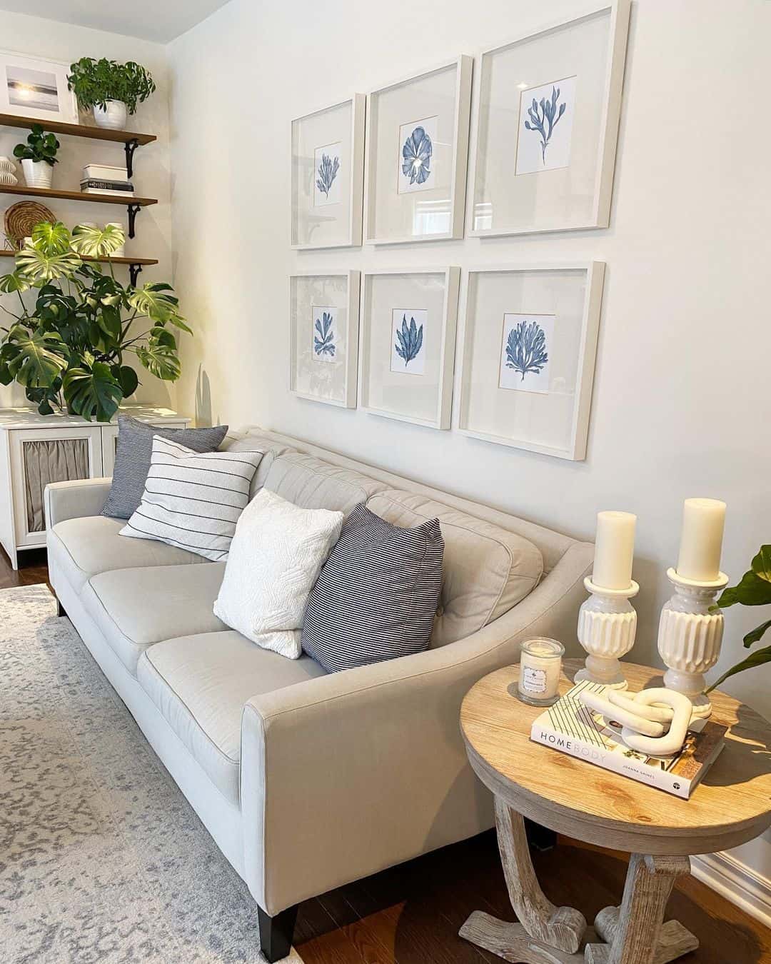 Six Framed Botanical Prints Create a Gallery Wall