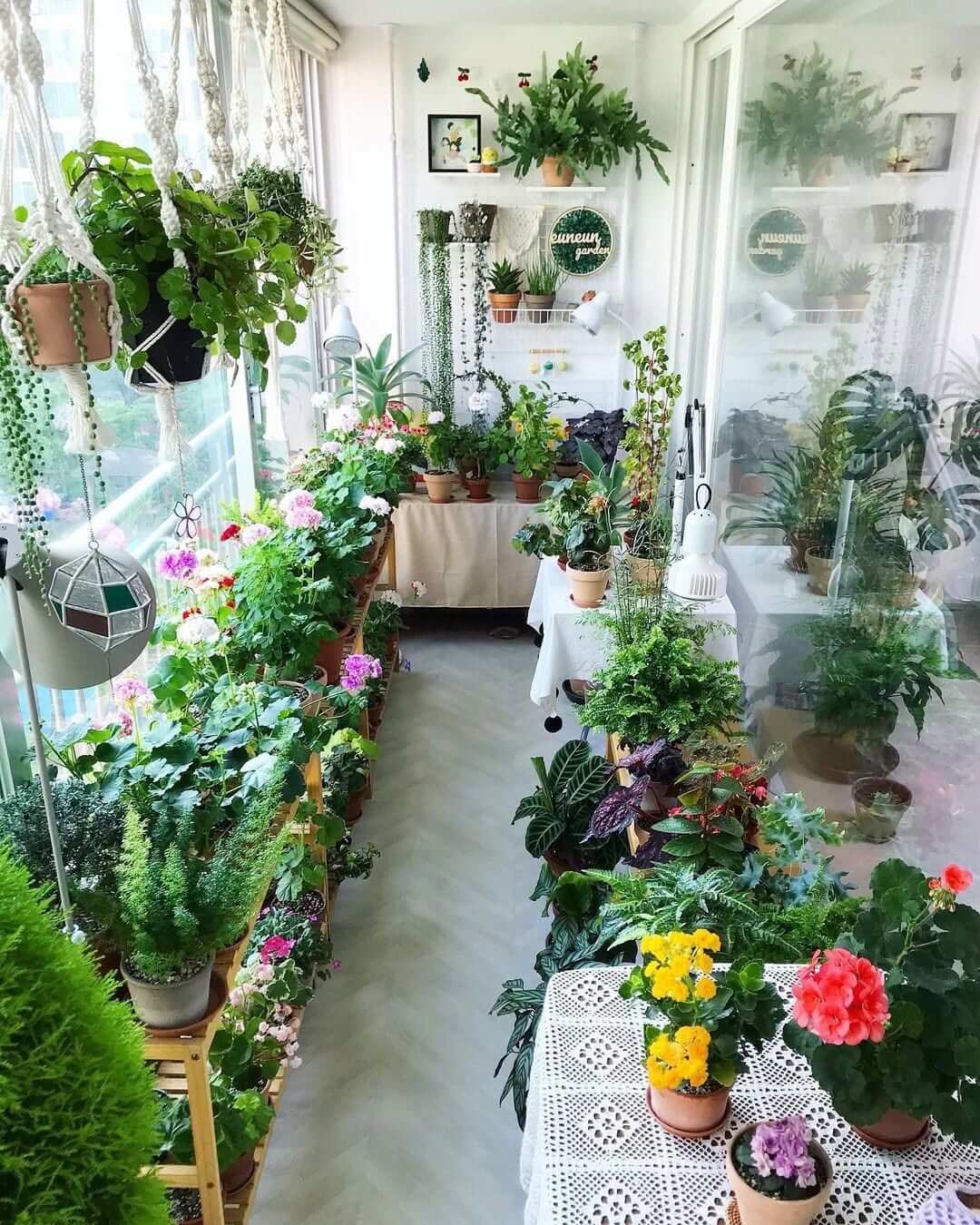 Layered Wooden Shelving Creates a Lush Balcony Garden