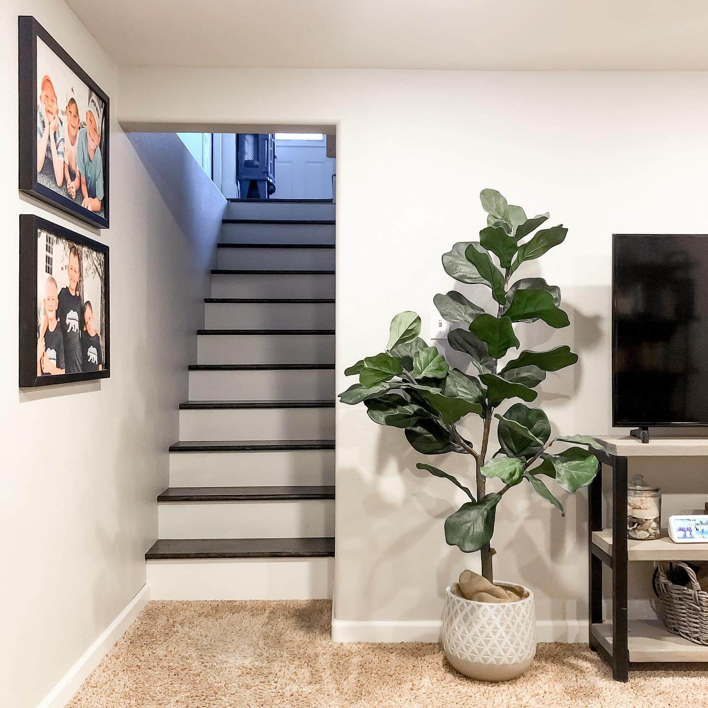 Fiddle Leaf Fig Adds Vertical Greenery Next to Staircase