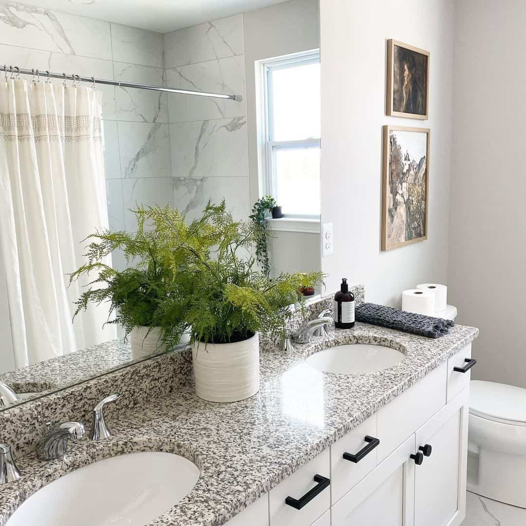 Large Asparagus Fern Softens a Speckled Granite Countertop