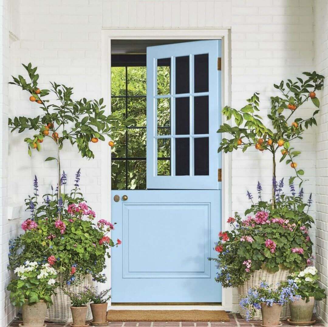 Pale Blue Dutch Door Flanked by Lush Container Gardens