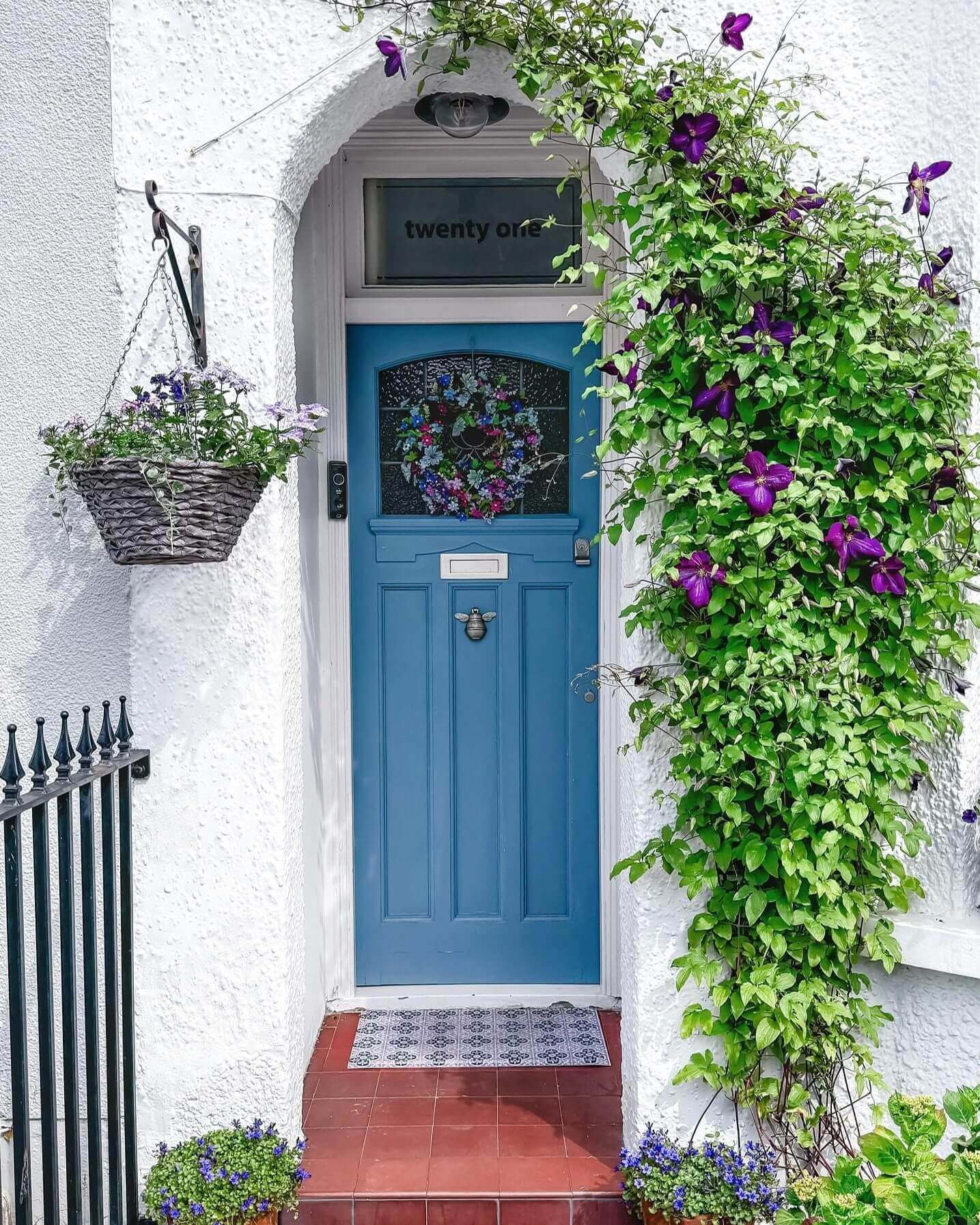 Frame Your Door with Cascading Purple Clematis