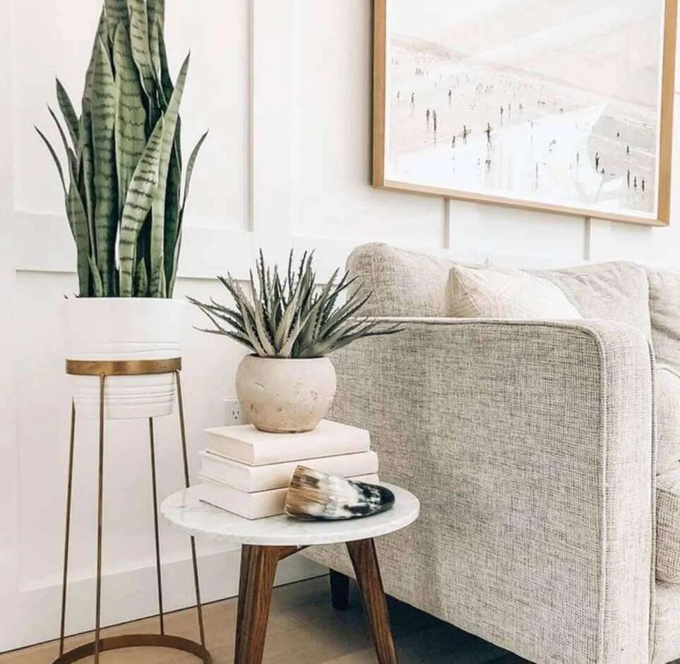 Stack Books to Create Height for Tabletop Plants