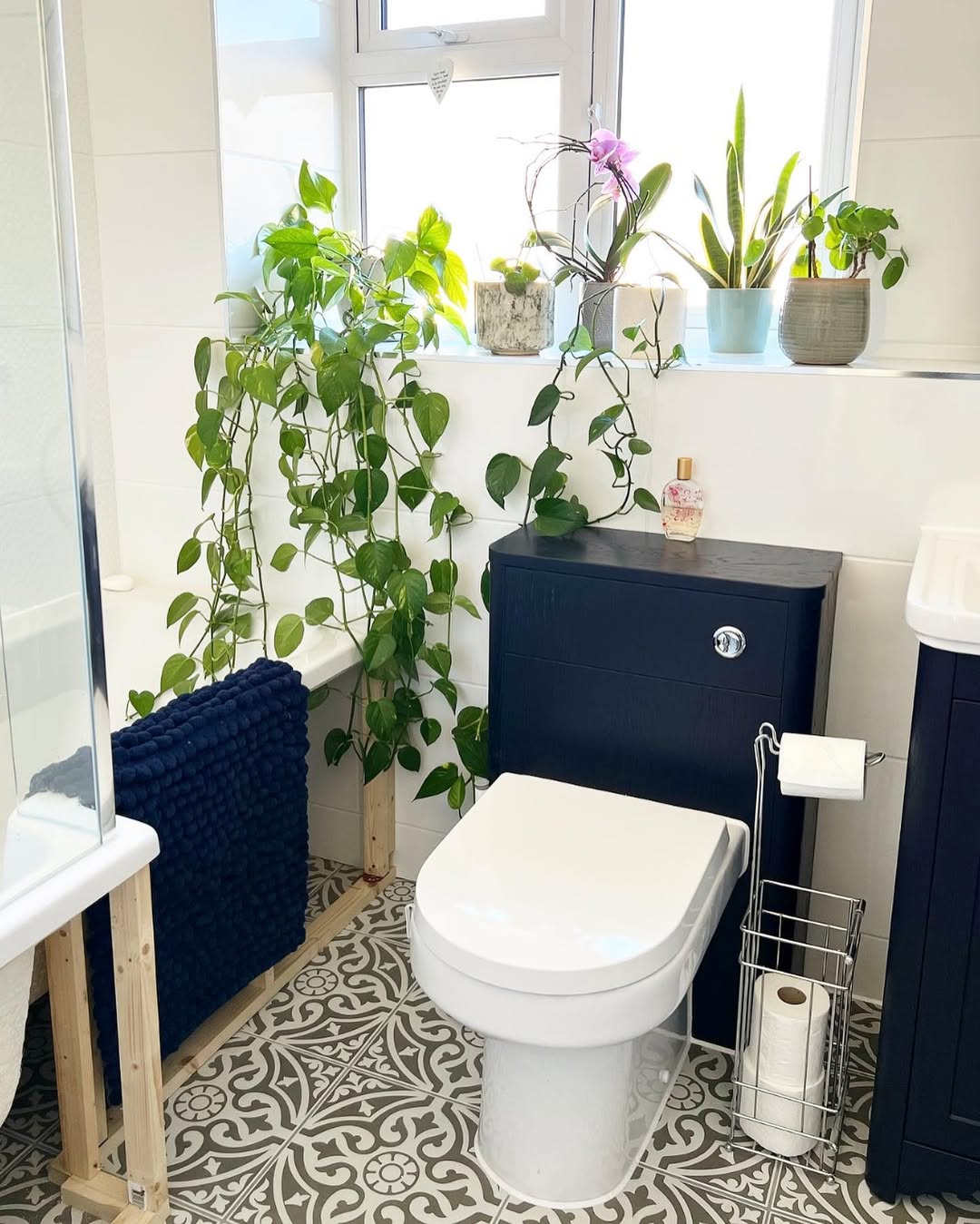 Soften a Dark Navy Toilet Unit With Cascading Pothos Plants