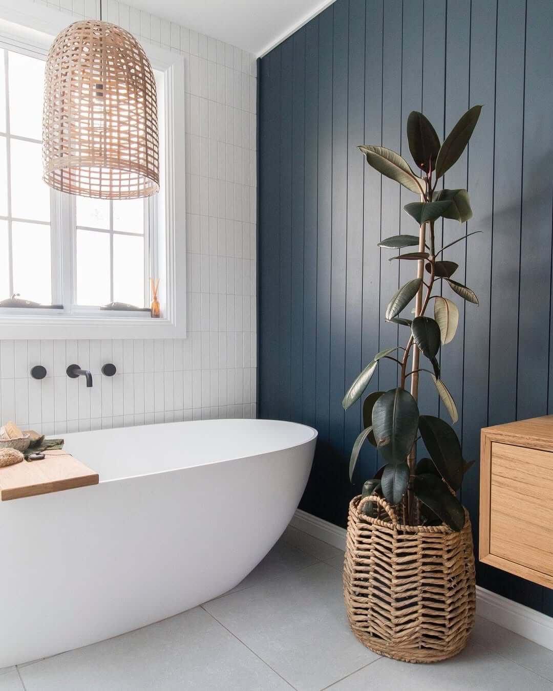 Soften a Navy Accent Wall With a Tall Rubber Tree