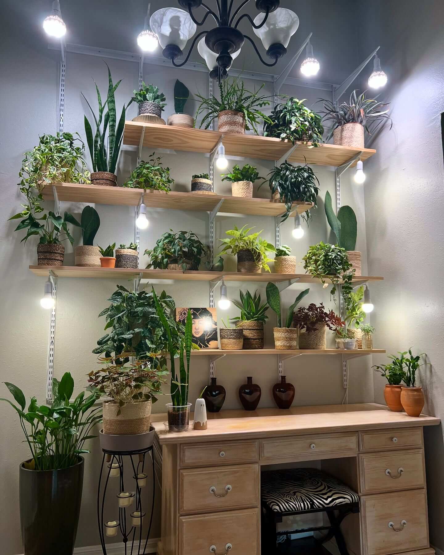 Adjustable Shelving Creates a Custom Plant Wall