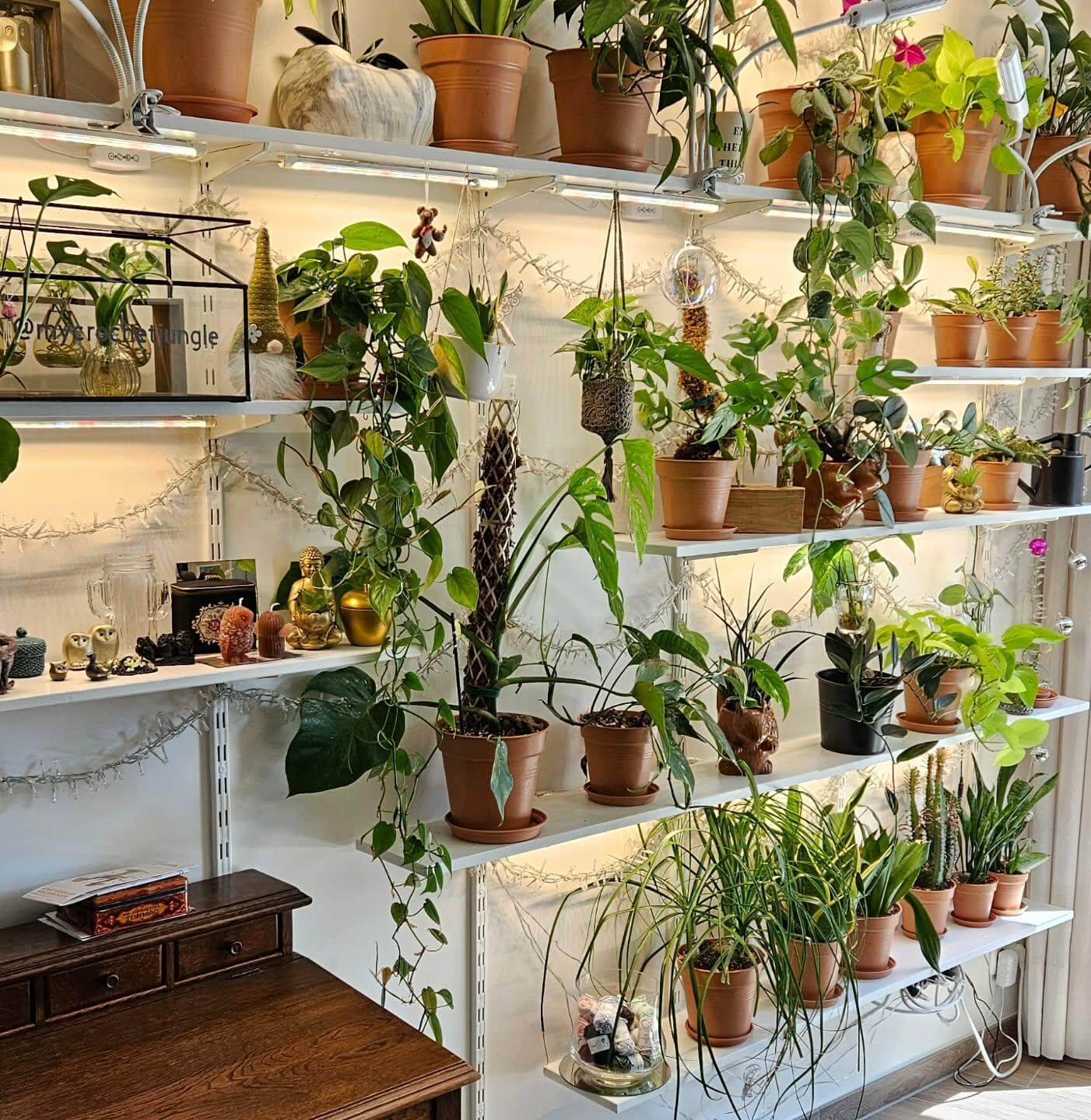 White Shelving With Integrated Lights Showcases Greenery