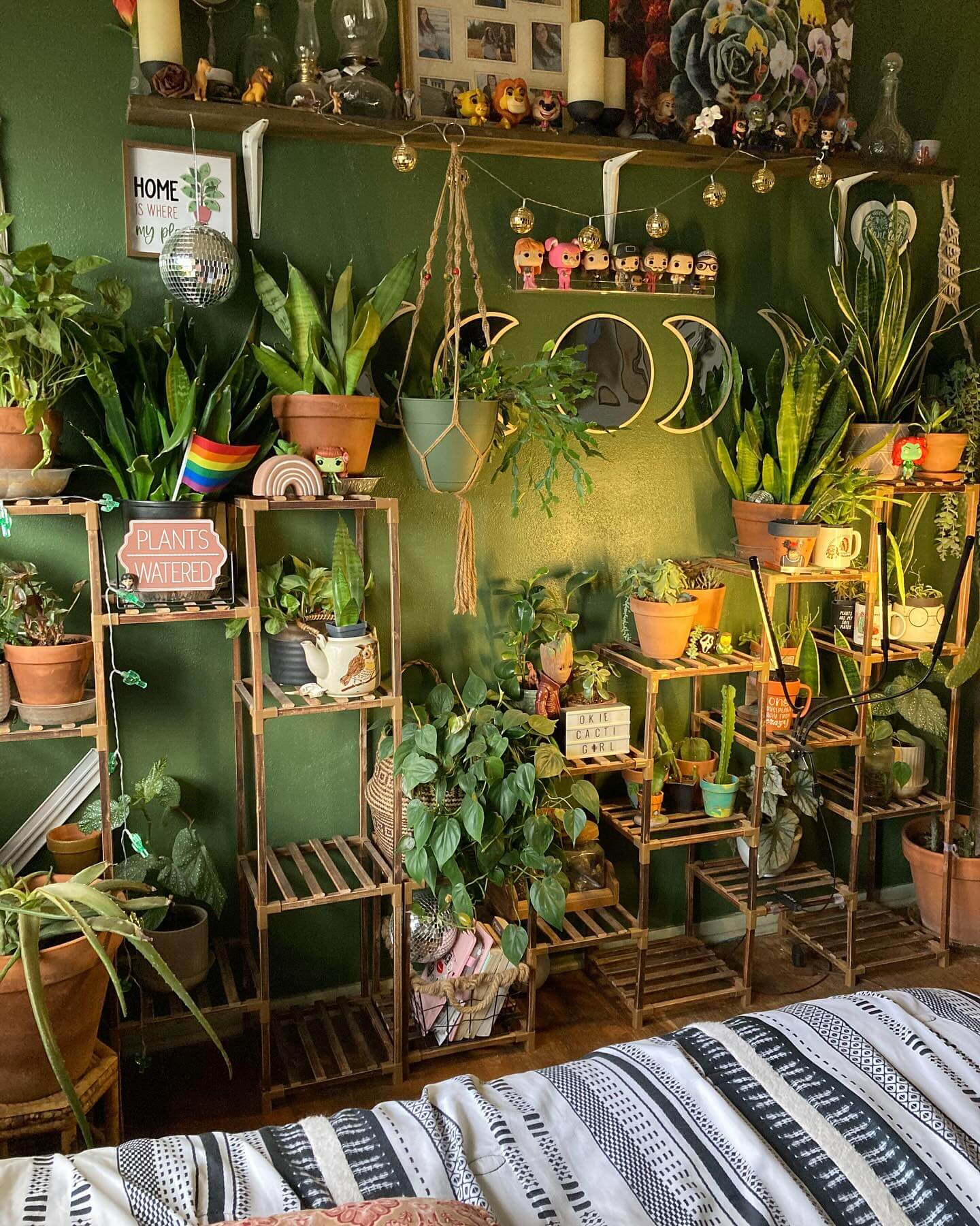 Modular Shelving Units Create a Layered Green Wall