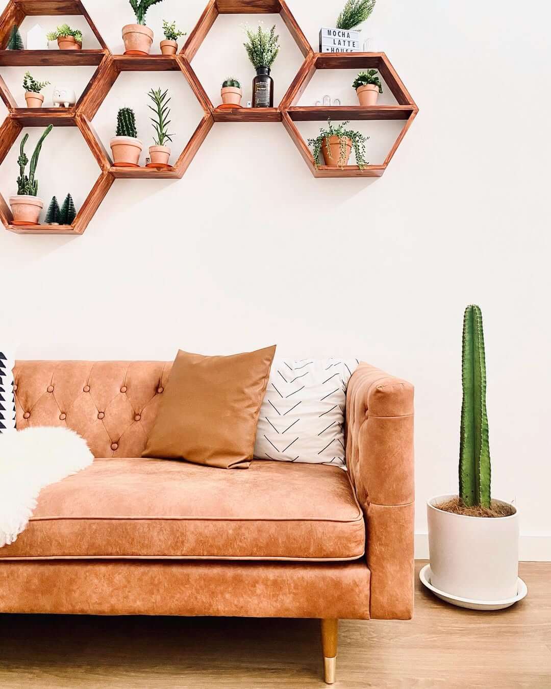 Hexagonal Shelves That Cluster Plants